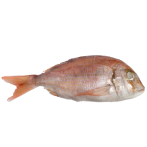 Perfit Besugo Medium 10X1kg Argentina