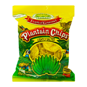 TG Plantain Chips Salt 20 x 85 g