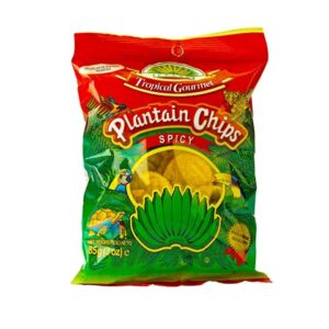 TG Plantain Chips Spicy 20 x 85 g